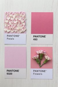 Pantone pink chart brand inspo