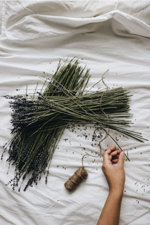 Lavender on a bed sheet. This represents a collection of work done by Content Savvy to grow brands on Instagram, 