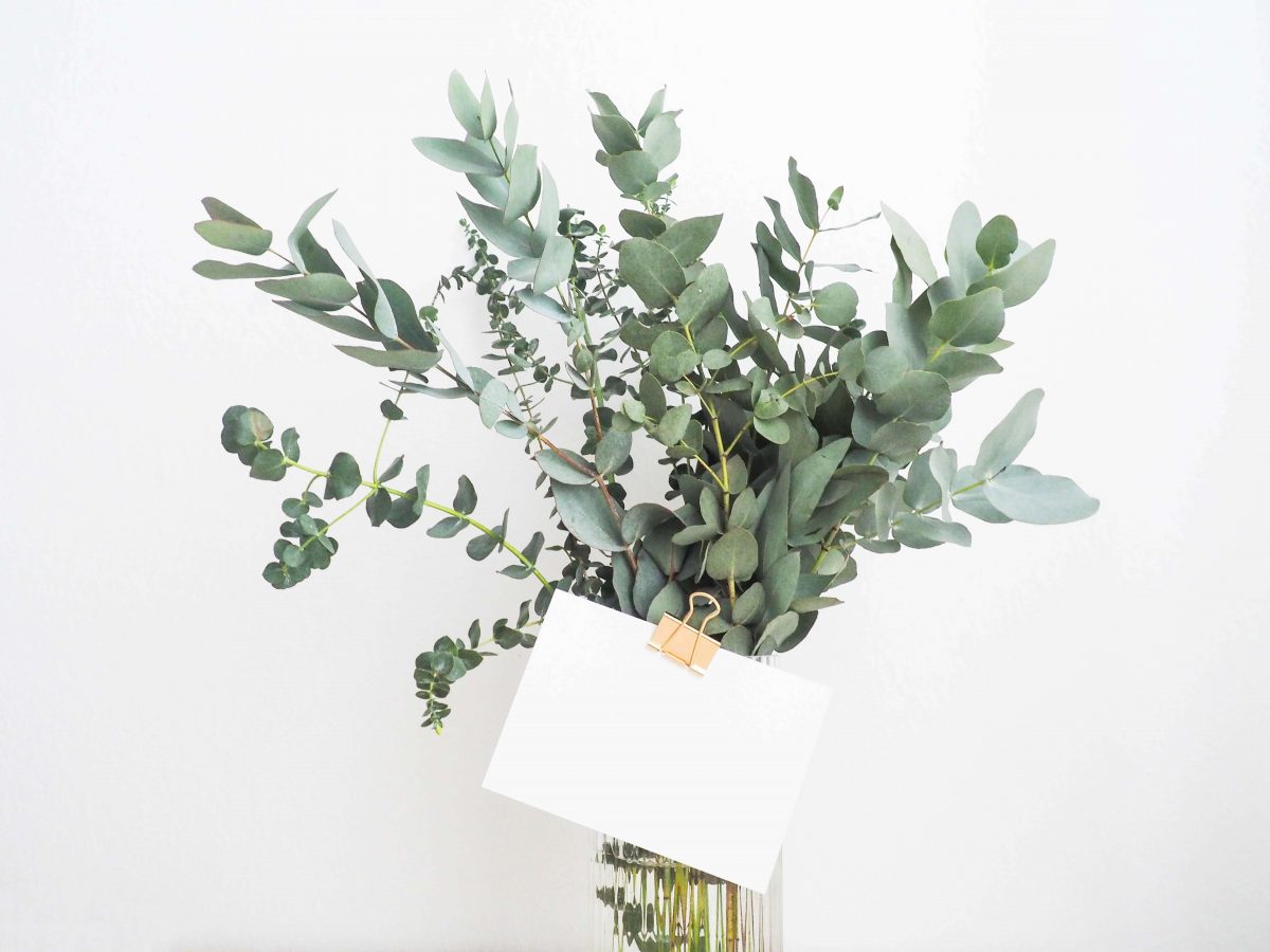 bunch of green foliage with gift note attached