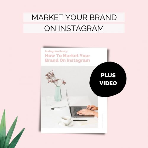 How to market your brand on Instagram Mini Course PDF and video