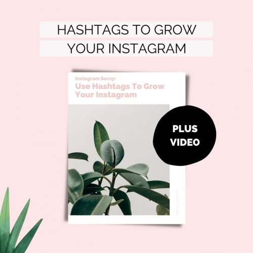 Instagram hashtags guide PDF and video micro course