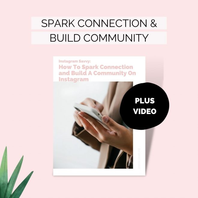 Spark connection and build a community Instagram mini course eBook and video